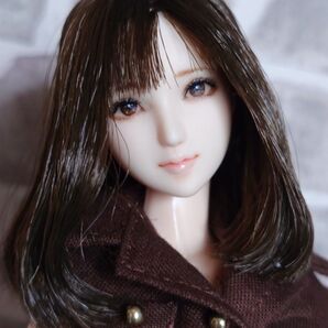 1/6カスタムドールヘッド