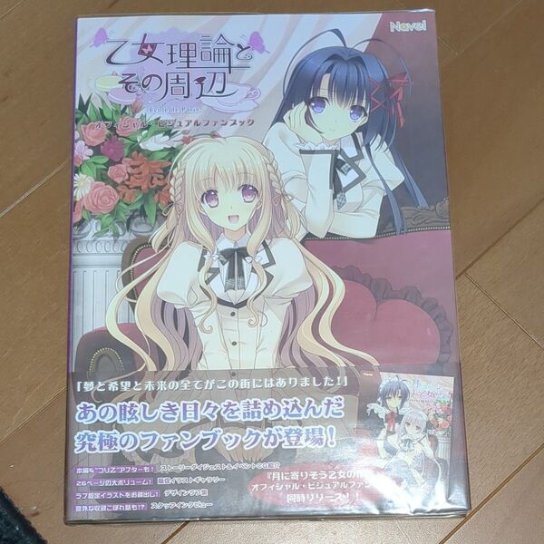 乙女理論とその周辺 オフィシャルビジュアルファンブック