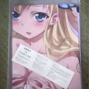 僕は友達が少ない 柏崎星奈 はがない PVC エアークッション エアクッション 空ビ 空気ビニール 抱き枕