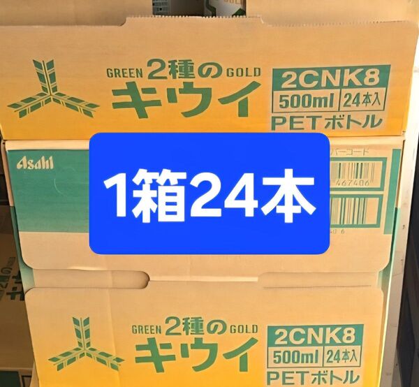 【クーポンで500円引き】三ツ矢2種のキウイ 500ml × 24本 ペットボトル