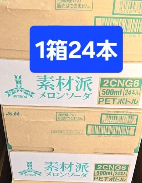 【クーポンで500円引き】三ツ矢 素材派メロンソーダ 500ml × 24本 ペットボトル