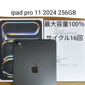 ipad pro 11 第5世代 2024 wifi 256GB スペースブラック