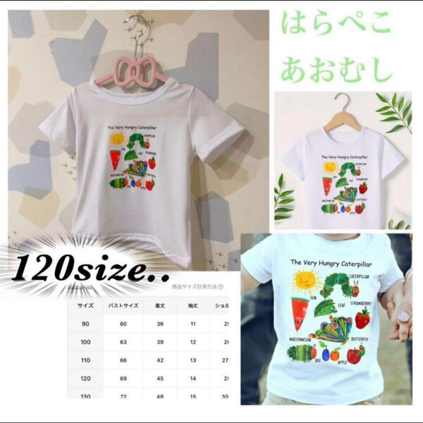 【新商品】新品・未使用 人気シリーズ はらぺこあおむし Tシャツ☆120size