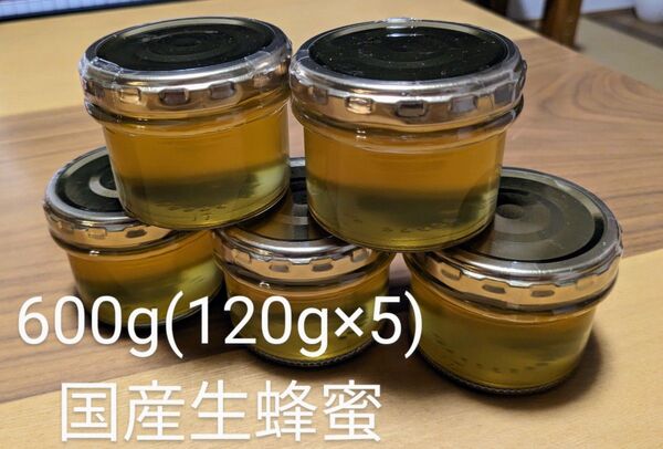 2025年 新蜜 天然蜂蜜 国産 非加熱 生はちみつ 600g