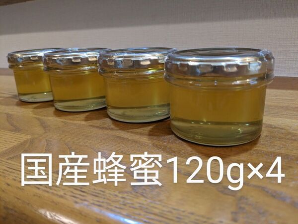 2025年 新蜜 天然蜂蜜 国産 非加熱 生はちみつ 480g