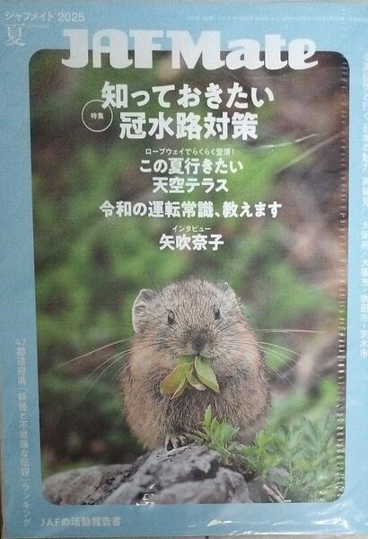 未開封 クーポンつき JAF PLUS 2025 Summer号 会員優待冊子 関西エリア