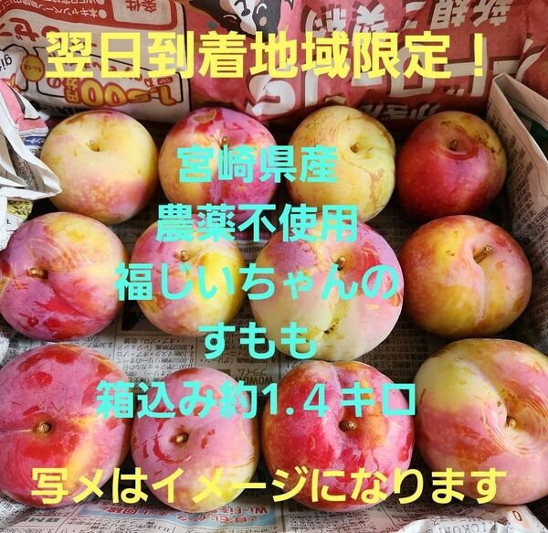 ▲翌日到着地域限定!毎年好評!宮崎県産 無農薬 福じいちゃんのスモモ サイズ混合 箱込み約1.4キロ