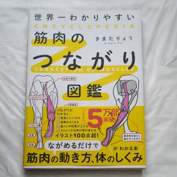 世界一わかりやすい筋肉のつながり図鑑 きまたりょう/著