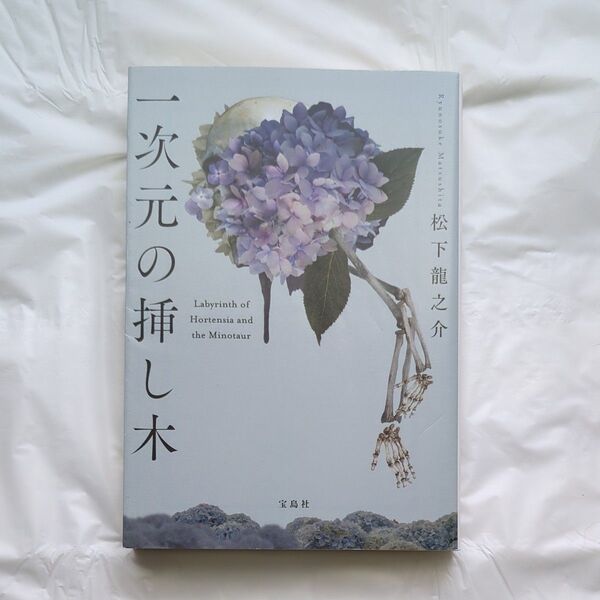 一次元の挿し木 (宝島社文庫 Cま-5-1 このミス大賞) 松下龍之介/著