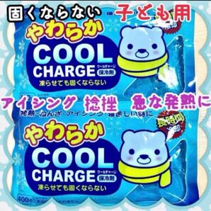 熱帯夜に 我慢しない 子供用 やわらかクール アイス枕 アイスノンタイプ 2個