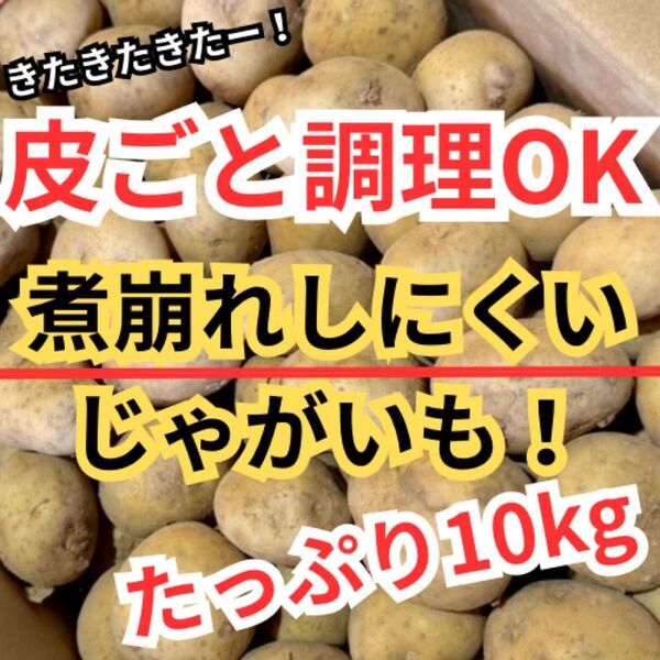 8長崎産 じゃがいも ニシユタカ たっぷり10kg Sサイズ 煮崩れしにくい