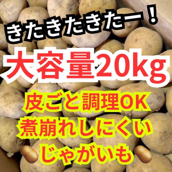 003長崎産 じゃがいも ニシユタカ 大容量20kg Sサイズ 煮崩れしにくい