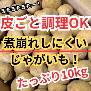 8長崎産 じゃがいも ニシユタカ たっぷり10kg Sサイズ 煮崩れしにくい