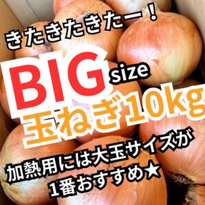 3兵庫産 淡路 玉ねぎ 2LBIGサイズ 約10kg 超お買い得