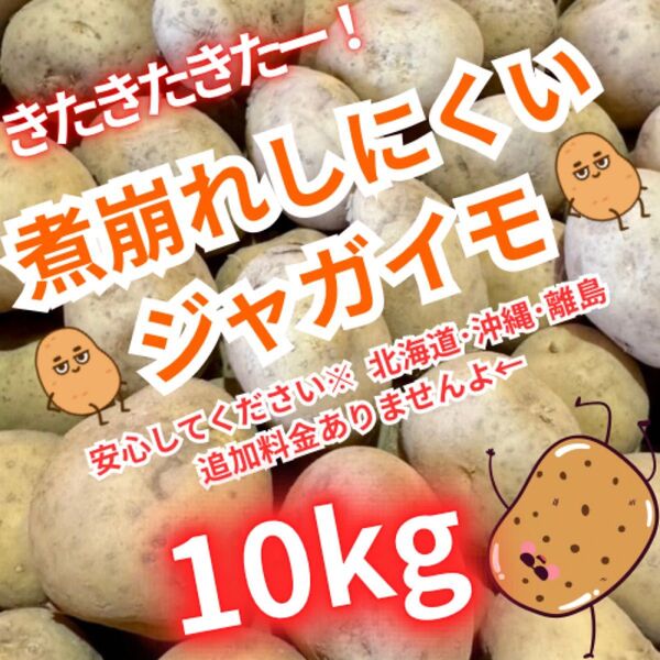 101お買い得 じゃがいも ニシユタカ 10kg M~Lサイズ 数量限定 じゃがいも