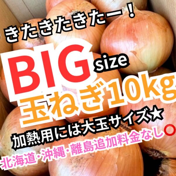 3兵庫産 淡路 玉ねぎ 2LBIGサイズ 約10kg 超お買い得