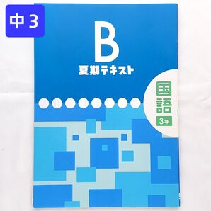 中3 国語 標準 夏期テキストB 夏休み ドリル プリント 塾専用 教材 サマードリル 1学期 復習