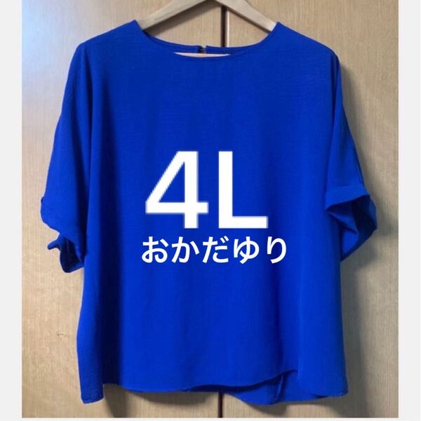 ・着痩せ 鮮やかブルーのトップス 後ろタック ドルマンプルオーバー おかだゆり 大きいサイズ 4L