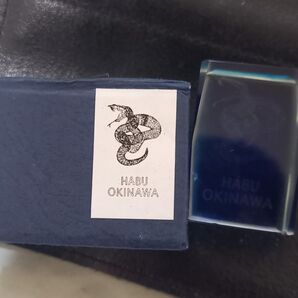 ハブ ペーパーウェイト 沖縄 お土産 置物 インテリア