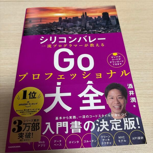 シリコンバレー一流プログラマーが教えるGoプロフェッショナル大全 酒井潤/著