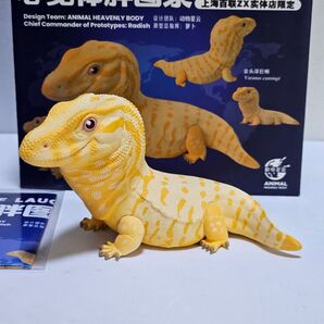 動物の惑星 188体限定 カミンギーモニター(アルビノ) フィギュア トカゲ