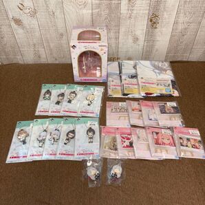 時々ボソッとロシア語でデレる隣のアーリャさん 一番くじ まとめ売り