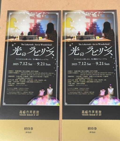 高崎市美術館 光のラビリンス 招待券2枚