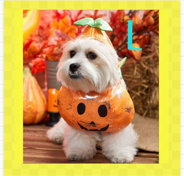 【L】ペット ハロウィン 犬 猫服 かぼちゃ仮装 犬 ドッグウェア コスプレ