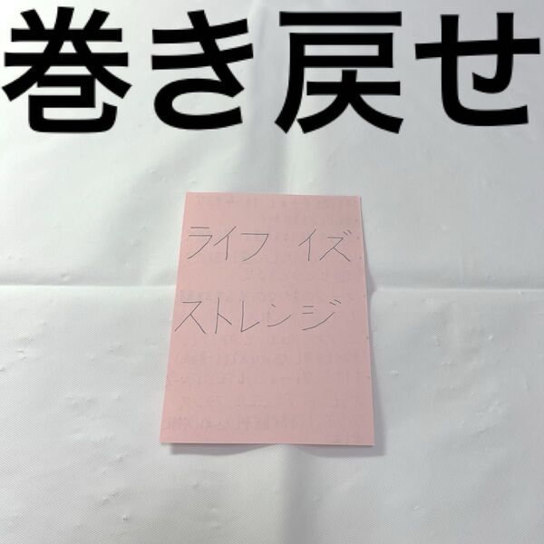ライフ イズ ストレンジ ※メモ用紙に書いた私の美字とアドバイス(PS4とswitch対応可)