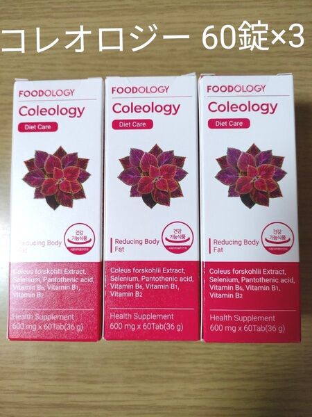 コレオロジー 60錠×3箱 フードロジー FOODOLOGY Coleology 韓国 新品未開封 ダイエット