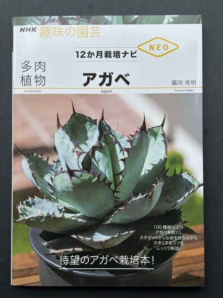 NHK趣味の園芸 12か月栽培ナビNEO アガベ