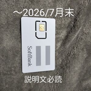 SIMカード SMS受信&データ通信用毎月1GBまで ソフトバンク