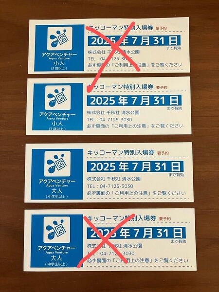 清水公園アクアベンチャー入場券2枚セット