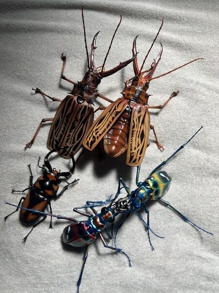 いきもの大図鑑アドバンス オオキバウスバカミキリとハンミョウ 全4種 フルコンプ ガチャ フィギュア プレミアムガシャポン G