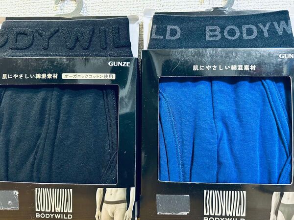 ボディワイルド BODY WILD ボクサーパンツ L 2枚 ブリーフ