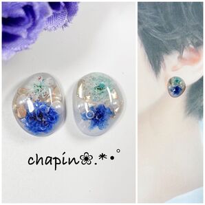 ( 779 ) カボション かすみ草 レジン ピアス イヤリング