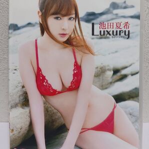 グラドルDVD新品「Luxury / 池田夏希」