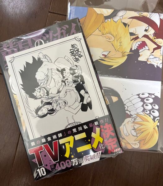 【新品未使用】黄泉のツガイ10巻 特典ポストカード+アニメイト特典イラストカード付き