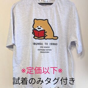 ※試着のみタグ付き※しまむら系列アベイル【お文具といっしょ】Tシャツ Mサイズ 子猫さん ステッカー付き