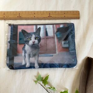 新品 岩合光昭 ねこネコ猫のフラットポーチ3080品mitsuaki iwaco