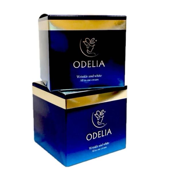 ODELIA リンクル&ホワイト オールインワンクリーム 50g × 2個