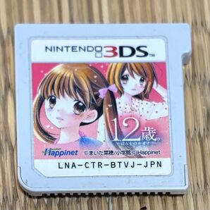 3DS ゲームカセット 12歳 起動画面 パッケージ無し ソフトのみ 3DSソフト