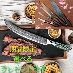 《新作》67層 VG10 ダマスカス ブッチャーナイフ アワビ柄
