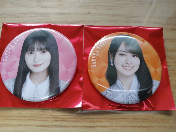 乃木坂46 遠藤さくら・遠藤さくら 13th YEAR BIRTHDAY 個別ランダム缶バッジA