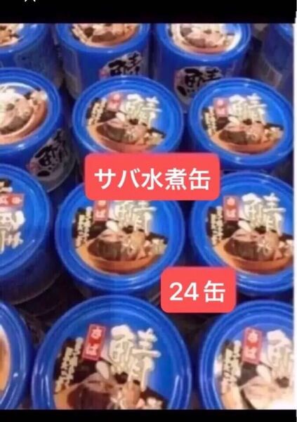 缶詰 鯖缶 サバ缶 サバ水煮缶 24缶 【賞味期限、3027.10. 2027.11】