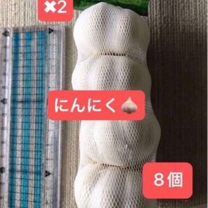 にんにく 8個 (横幅約4.5㎝)
