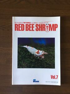  bee shrimp специализация информация журнал Red Bee Shrimp vol.7pi- She's 