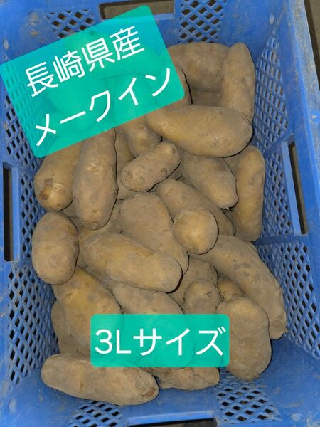 長崎県産【メークイン】3Lサイズ10キロ