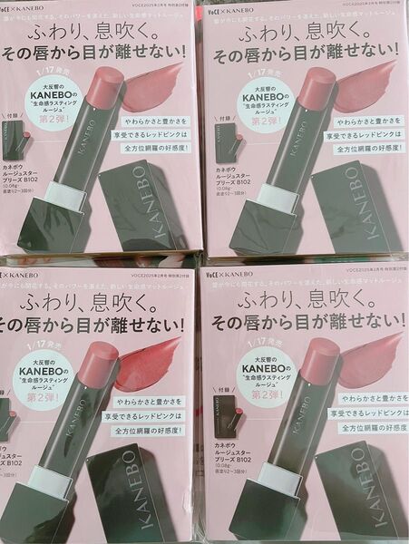 VOCE付録 KANEBOセット 2025年2月号