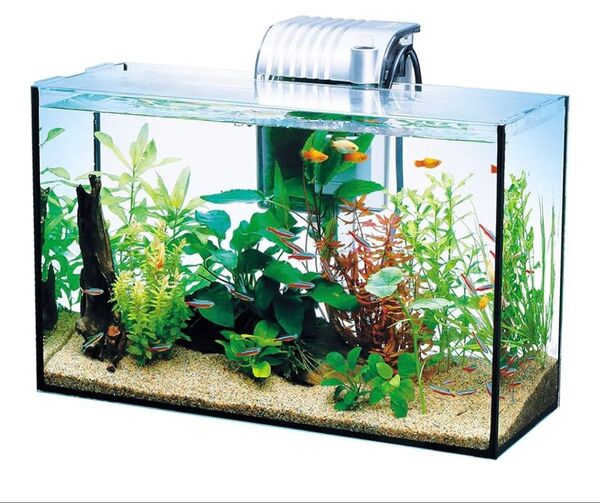 テトラ (Tetra) ガラス 水槽 オールグラスアクアリウム GA-420F 水槽 熱帯魚 メダカ 金魚 新品未使用